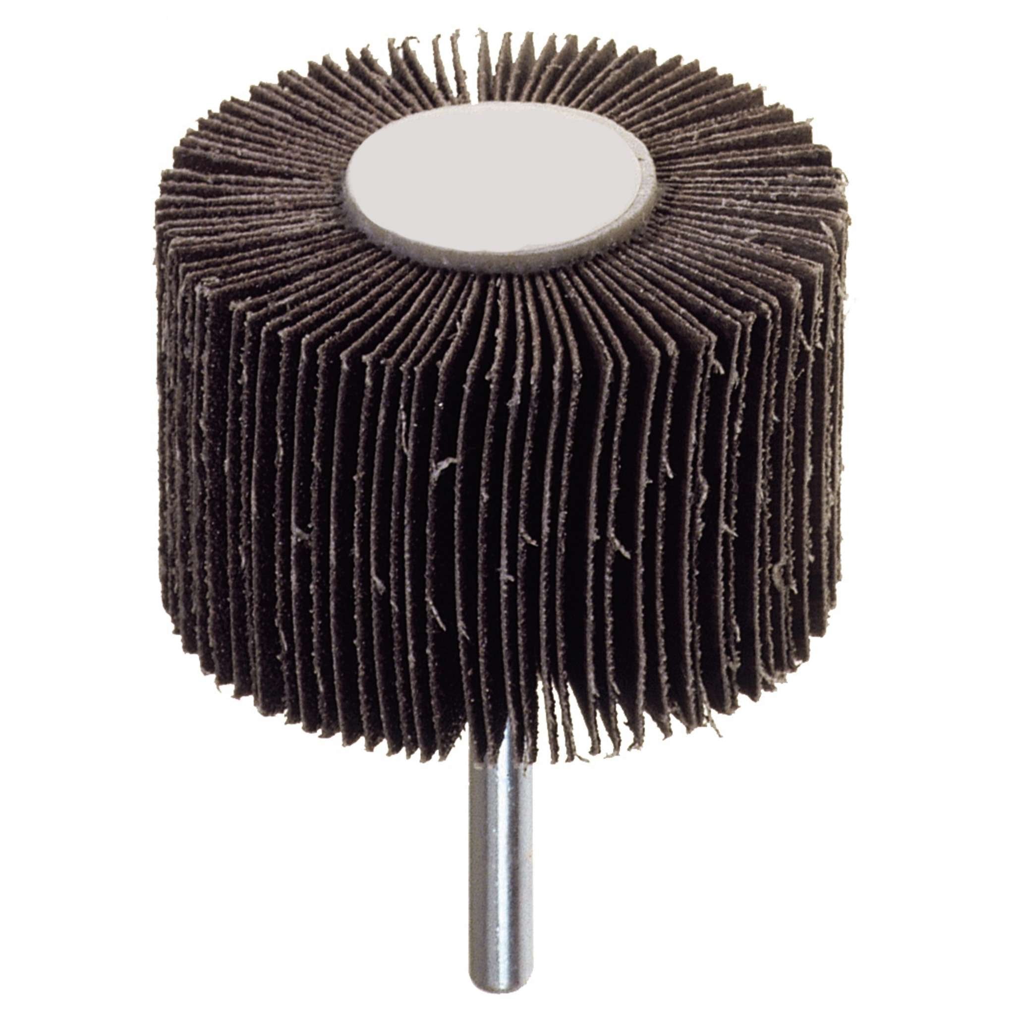 Poggi 358.50 Ruota Abrasiva Lamellare D 50X20 Mm