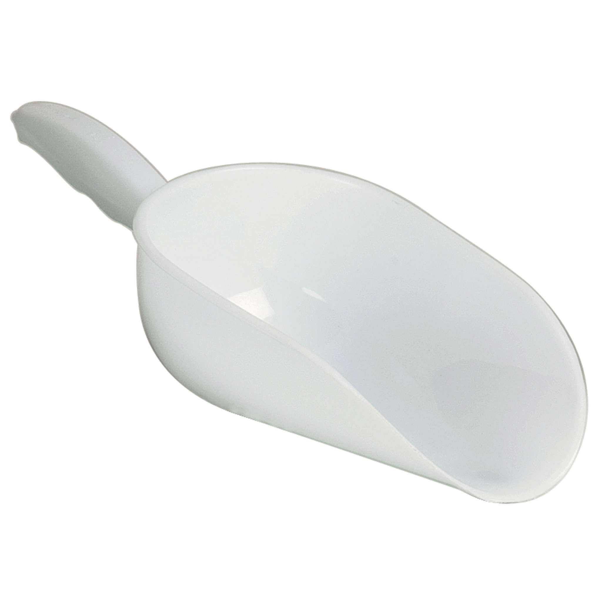 Sessola Tonda Pp 29 Cm - 6 Pz