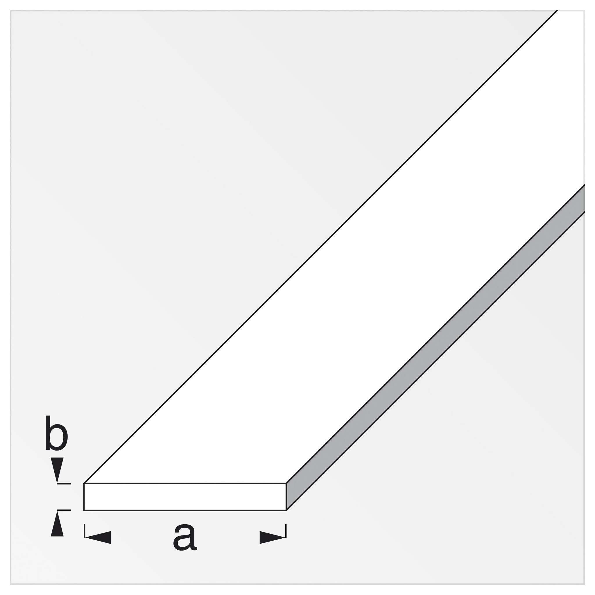 Profilo Bianco H.200 Cm Piatto 25X2 Mm - 5 Pz