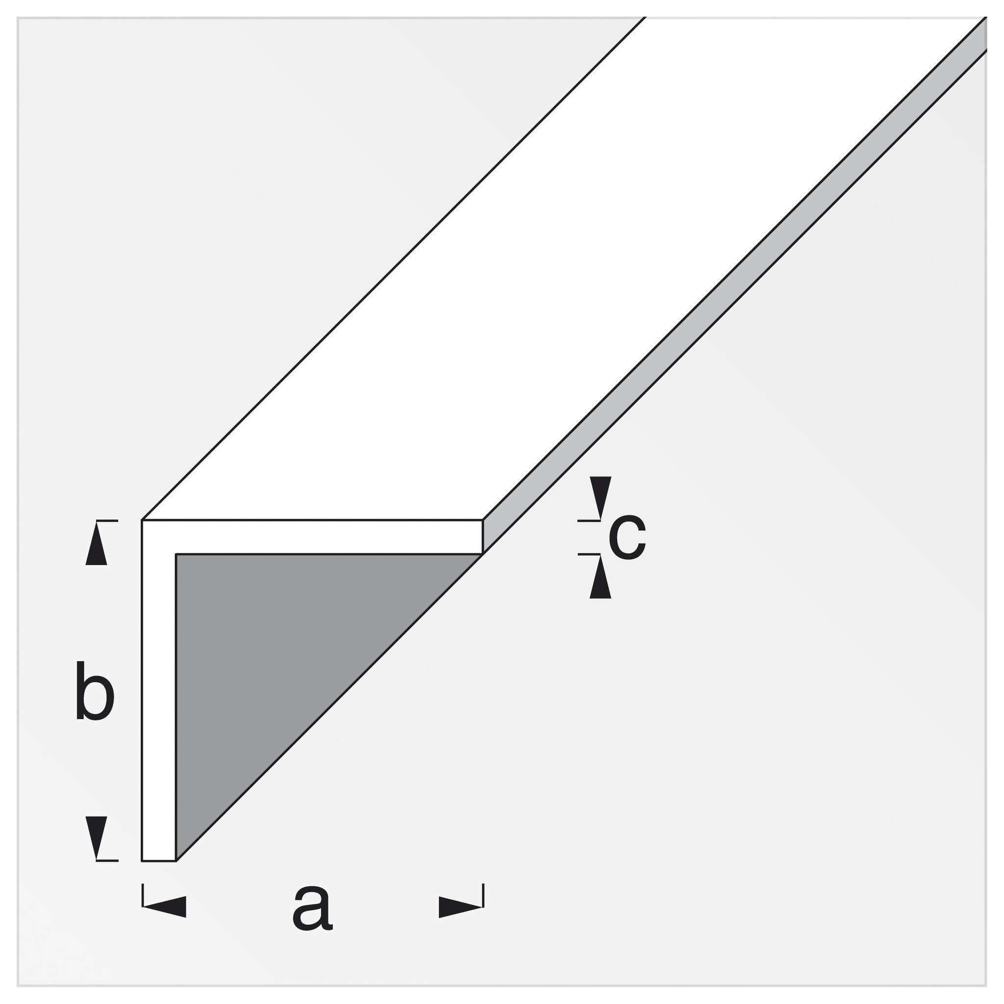 Profilo Bianco H.200 Cm Angolare 10X10X1 Mm - 5 Pz