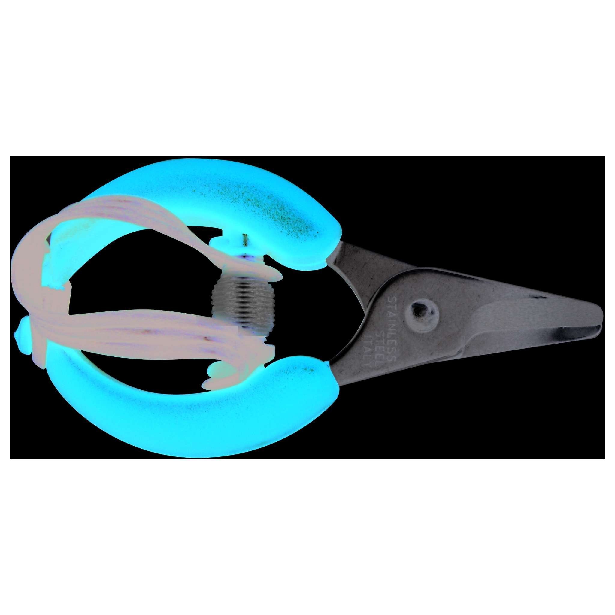 Forbici Per Agrumi Lame Inox - 6 Pz