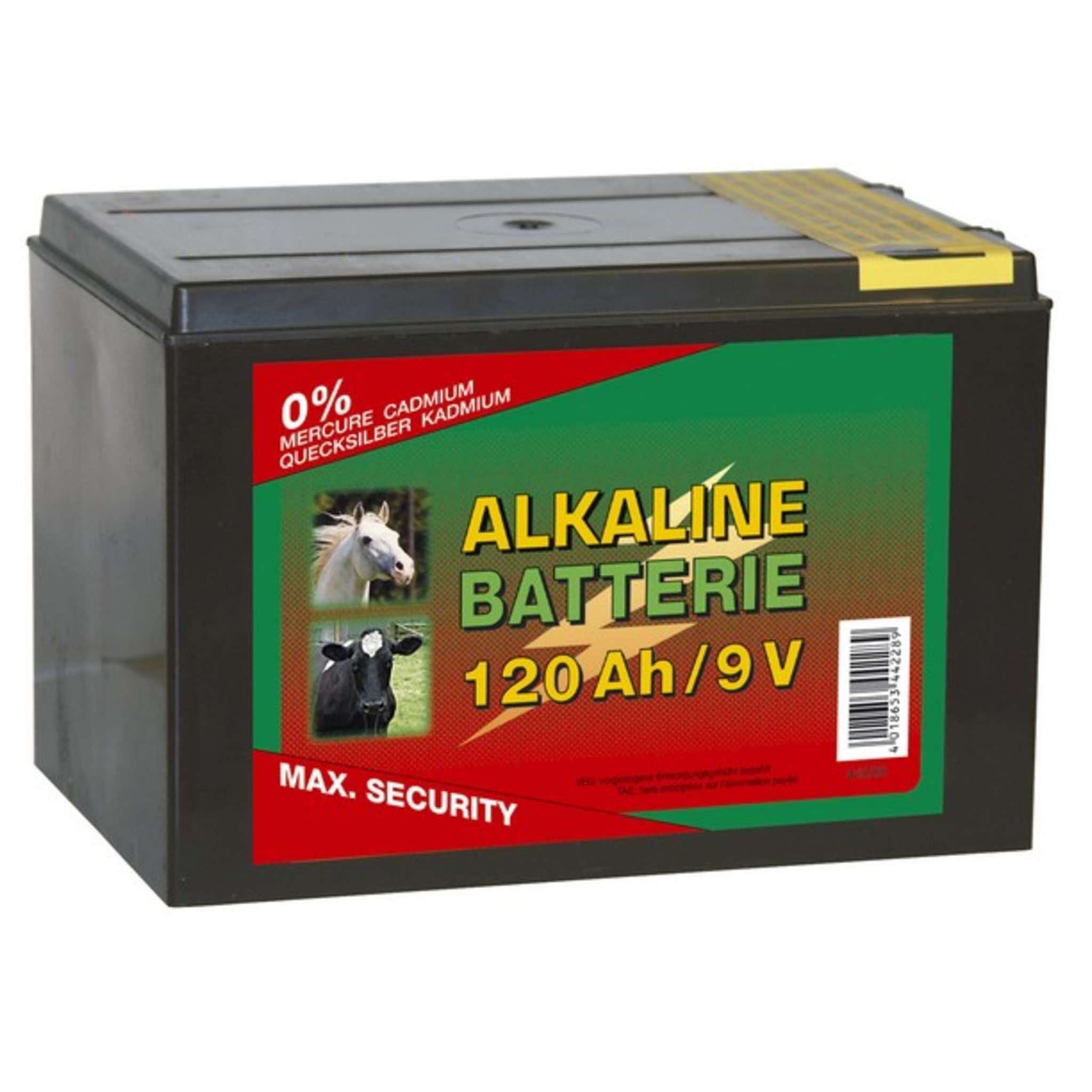 Batteria A Secco Alcalina 9V 170 Ah
