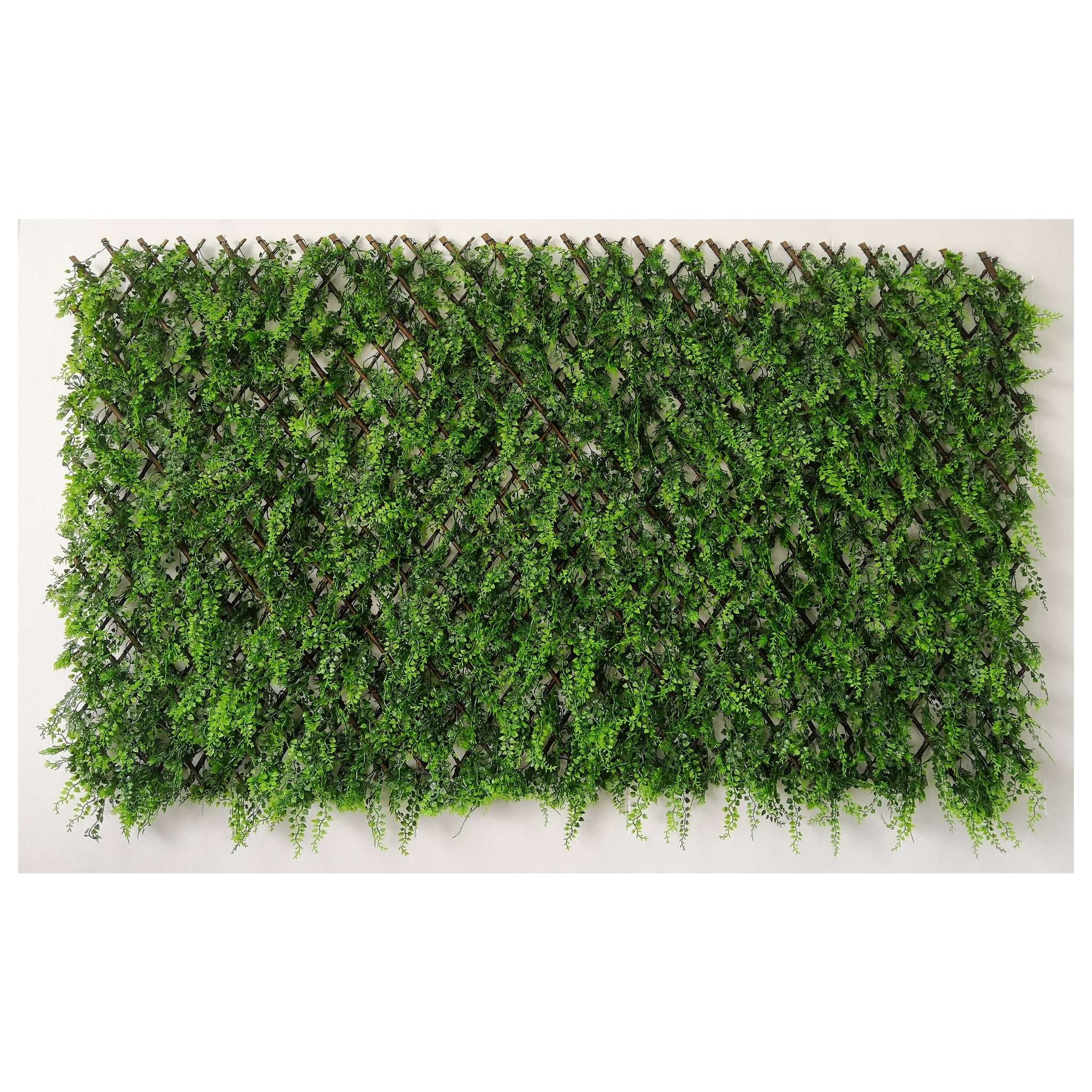 Arella Con Steccato+Erba Sempreverde 1X2 M