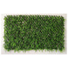 Arella Con Steccato+Erba Sempreverde 1X2 M