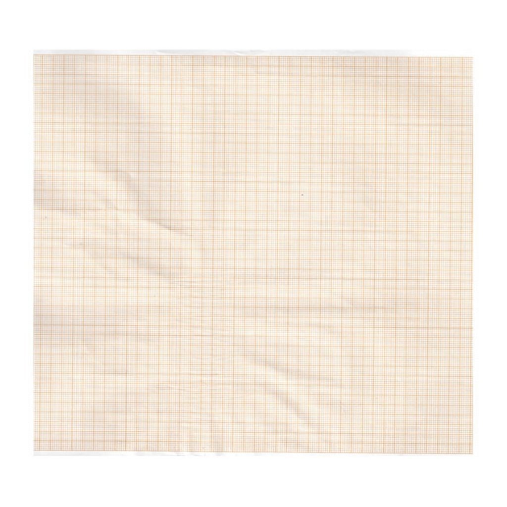 Carta Termica Ecg 215X25 mmxm - Rotolo Griglia Arancio - 5 Rotoli