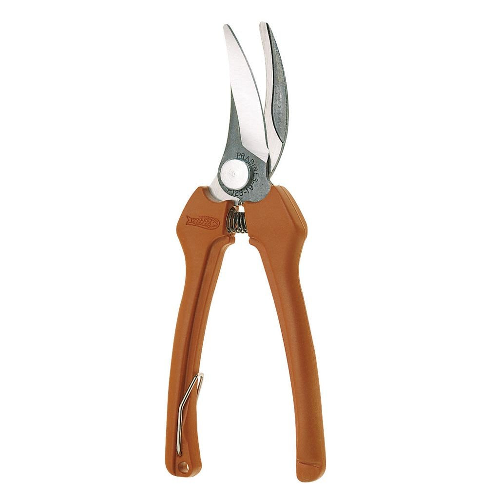 Forbici Cogliuva Lame Curve - 18,5 cm