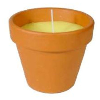 Vaso Terracotta Citronella Cm7 Pad60Vf