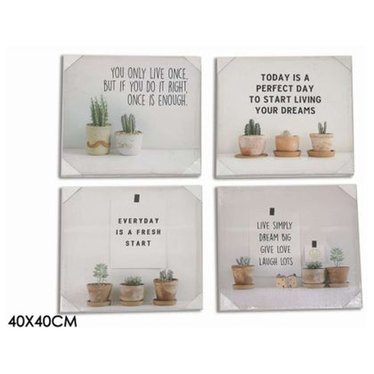 Quadro 40X40Cm Piante Grasse 563485 Gt