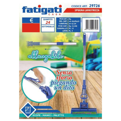 Spugna Lavastrizza 29726 Fat