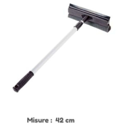 Asta Pulizia Vetri 367378 Tresis