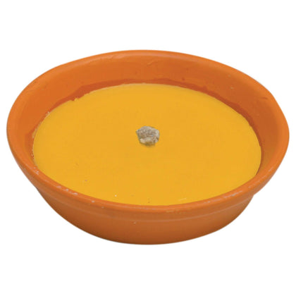 Citronella In Coccio Antivento D 14 Cm - 30 Pz