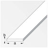 Profilo Bianco H.200 Cm Piatto 25X2 Mm - 5 Pz