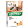 Bayer Advantage Spot On 40 Gatti Fino A 4 Kg