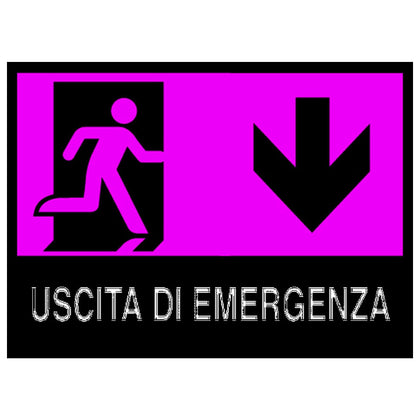 Cartello Segnaletico Uscita Di Emergenza Cm. 30X20 - 10 Pz