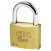 Iseo Lucchetto Di Sicurezza City Arco Standard Mm. 30 Chiave Unica - 10 Pz