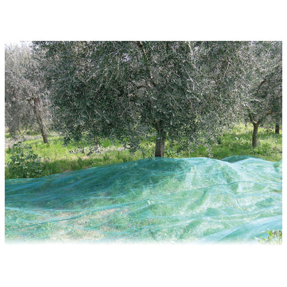 Rete Per Olive Antispine Mt. 6X10 (100 G/M)