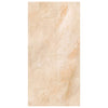 Pannello Decorativo 50X100 Cm Marmo Champagne - 15 Pz