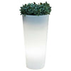 Vaso Solare Ficus Tondo D 29X60 Rgb Con Telecomando