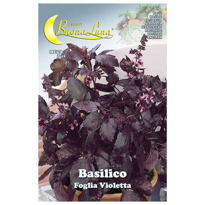 Semi Orto Basilico Foglia Violetta - 10 Pz