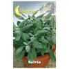 Semi Orto Salvia - 10 Pz