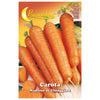 Semi Orto Carota Di Chioggia - 10 Pz