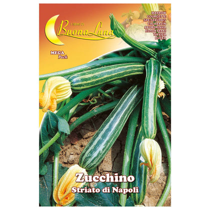 Semi Orto Zucchino Striato Napoli - 10 Pz