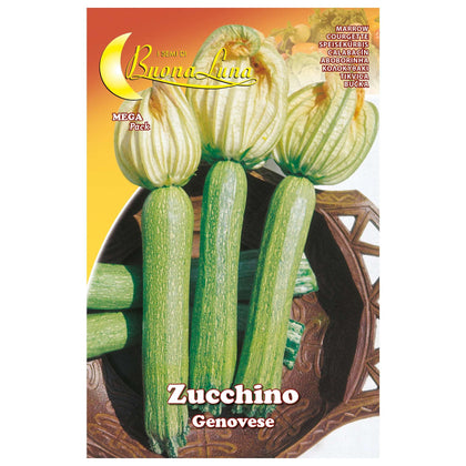 Semi Orto Zucchino Genovese - 10 Pz