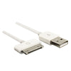 Cavo Dock Iphone4\Ipad Usb 1Metro Ccls197