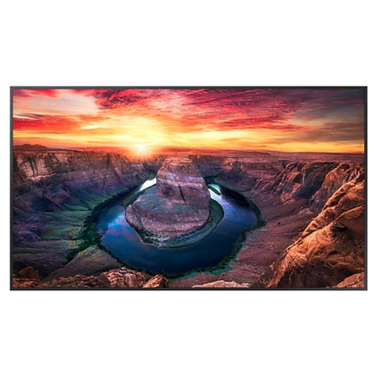 Mon 55Ds Va 4K 500Nit 4000:1 Hdmi Qm55B Wifi Lan Mm