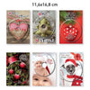 Biglietti Buon Natale Fotografico Abh16 X12