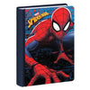Diario Std Spiderman 290201 X1