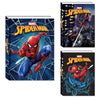 Diario 10Mesi Spiderman Wall Crawler 529002101 X1