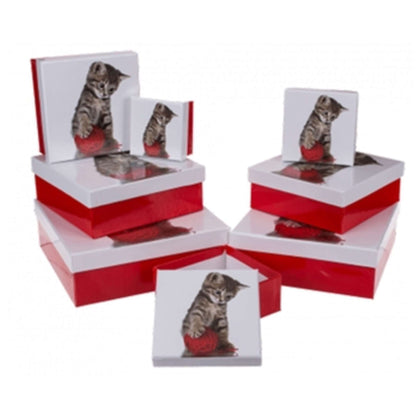 Set 8 Scatole Regalo Rosso - Bianco Gatto 101646 X1