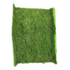 Tappeto Green H100X100Cm.B60601-3 X1