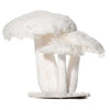 Tris Funghi Innevati H 38Cm X1