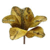 Lilium Oro Con Clip 15X12Cm X1