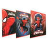 Maxi Quaderni 20+1Ff.80Gr.R/10Mm Spiderman X10