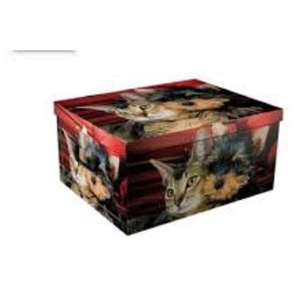 Bauletto Multiuso 50X40X25 Cm - Fantasia Shabby