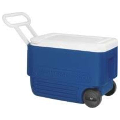Frigo Maxcold Roller 60