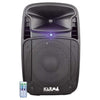 Cassa Audio Diffusore Amplificato Tiger 10A 170 Watt