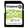 Secure Digital 256 Gb Canvas Select Plus (Sds2/256Gb) Class10 Uhs-I