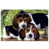 30289 Puzzle Close Together 500 Pezzi High Quality Collection
