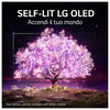 LG OLED65A16LA 165,1 cm (65