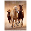 Puzzle 1000 Pz - High Quality Collection - Running Horses