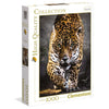 Puzzle 1000 Pz - High Quality Collection - Walk Of The Jaguar