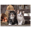 Clementoni 39340 puzzle 1000 pz Animali
