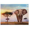 Clementoni African Sunset Puzzle 500 pz Animali