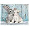Clementoni 35004 puzzle 500 pz Animali