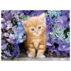 Puzzle 500Pz Hqc Gattino Rosso 30415 X1