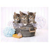 Clementoni Kittens and soap Puzzle 500 pz Animali